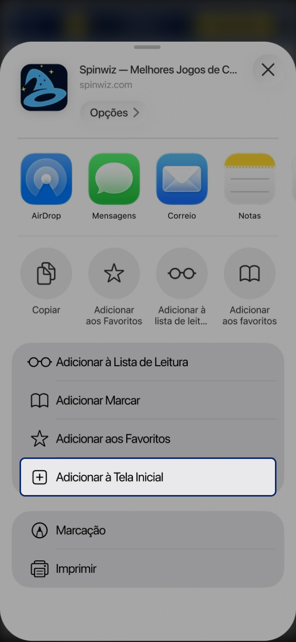 Toque em adicionar a aplicação Spinwiz ao ecrã principal.